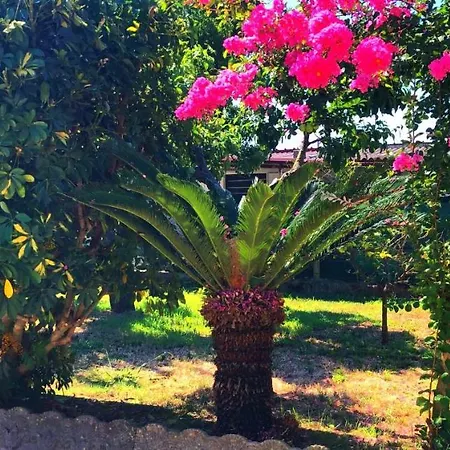 Casetta Ggg Apartman *