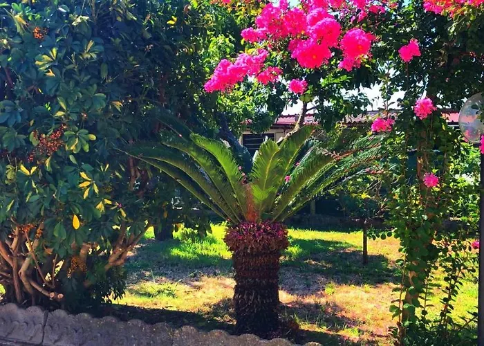 Casetta Ggg Apartment *